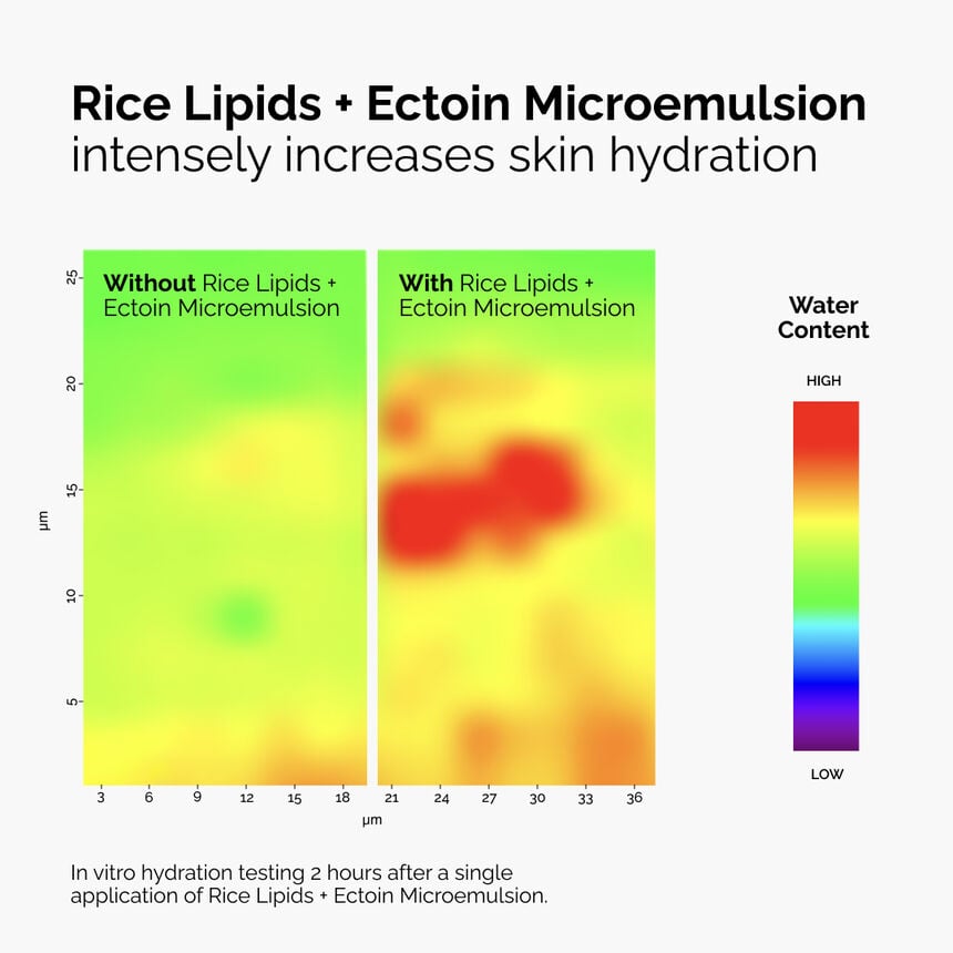 The INKEY Skin Rice Lipids + Ectoin Face Moisturizer - Image 2
